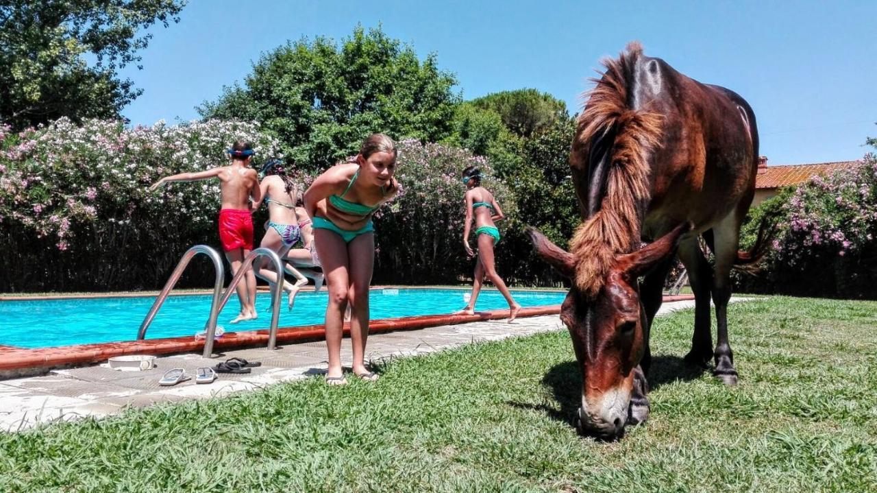Agriturismo Il Bottaccino Monsummano Terme Luaran gambar